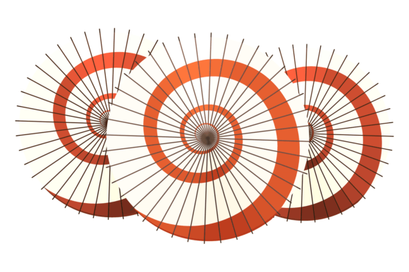 Asian Sunshade Umbrella Top View: Color & Pattern